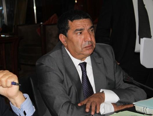 محمد مبديع الوزير المنتدب لدى رئيس الحكومة المكلف بالوظيفة العمومية وتحديث الإدارة،