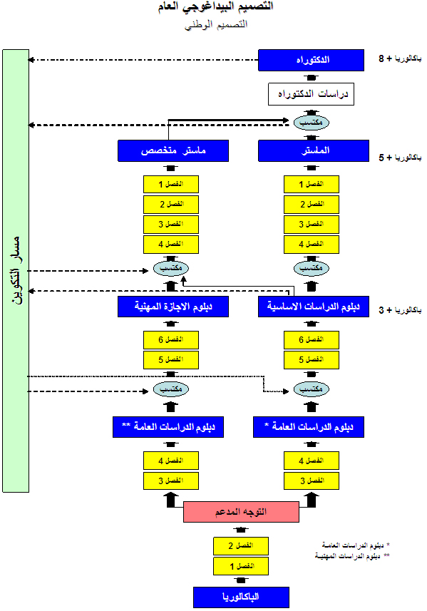 التصميم العام البيداغوجي للنظام الدراسي الجامعي: الإجازة الماستر الدكتوراه LMD